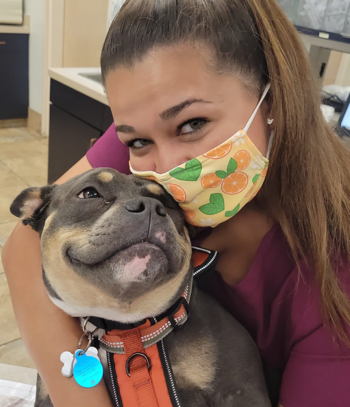 American Animal Hospital Association accredited veterinary care at Flora Family Vet
