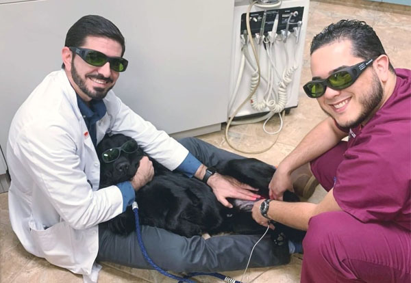 Flora Family Vet team member during veterinary appointment in Kissimmee