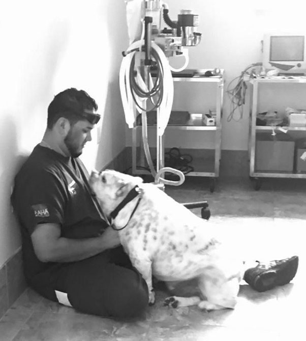 Flora Family Vet veterinary team welcoming pets in Kissimmee, Florida