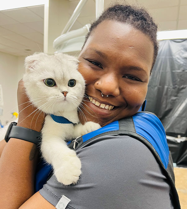 Veterinarian providing caring treatment for a pet at Flora Family Vet Kissimmee