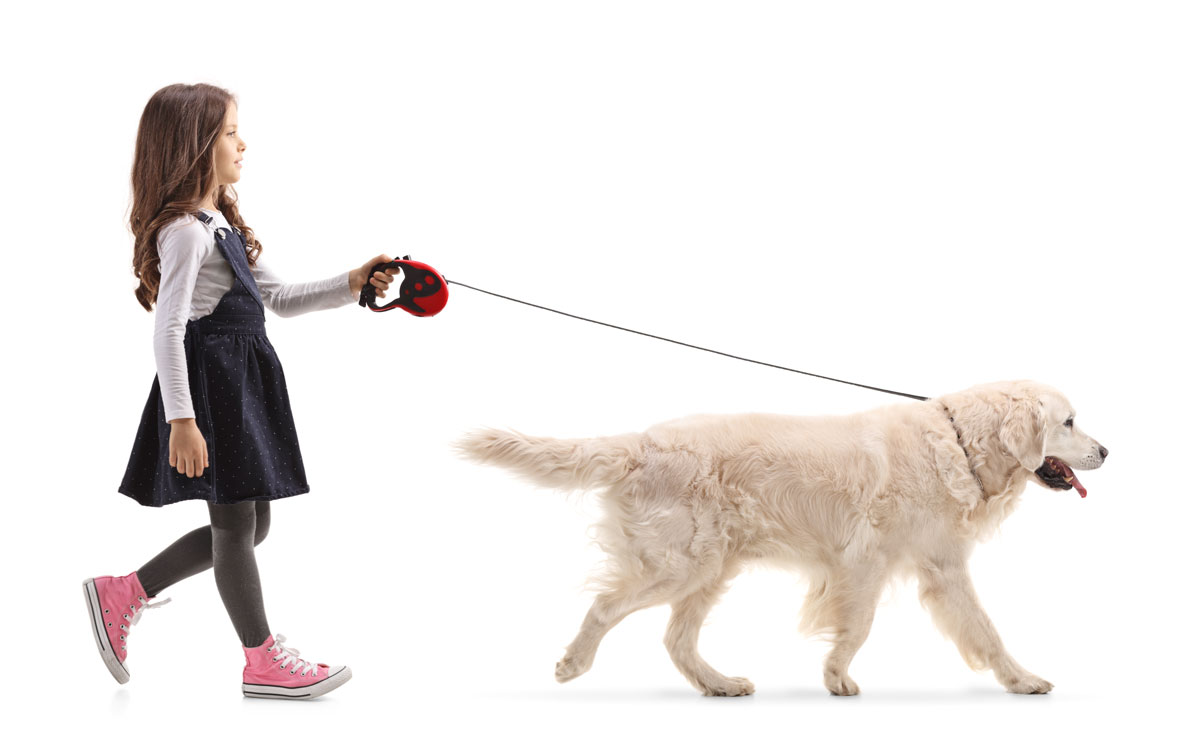 Flora Family Vet veterinary team providing compassionate care for pets in Kissimmee
