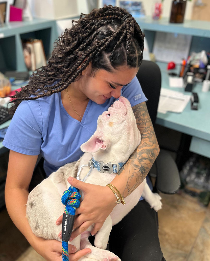 Flora Family Vet practice story and growth in Kissimmee, FL
