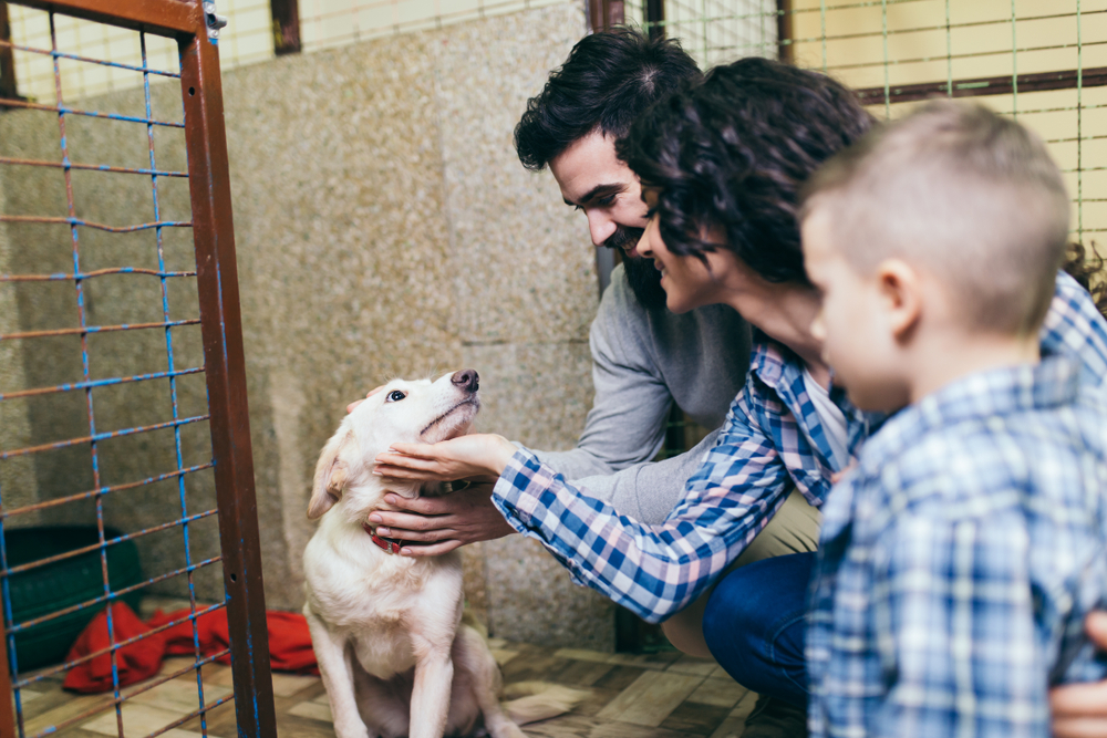 Happy family at an animal shelter choosing a dog for adoption