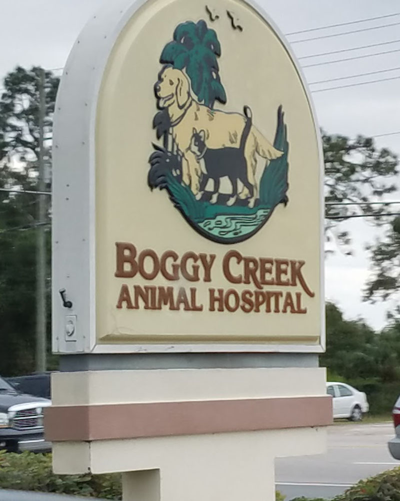 Flora Family Vet veterinary team and practice in Kissimmee FL
