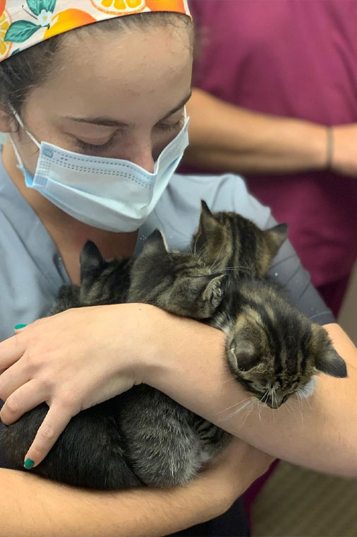 Veterinary staff at Flora Family Vet demonstrating compassionate pet care in Kissimmee
