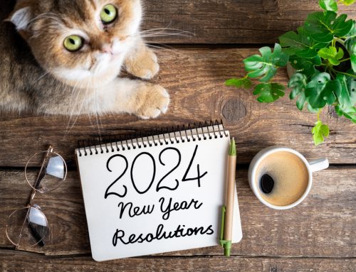 Pawsitive Beginnings: 2024 New Year’s Resolutions for Your Pet
